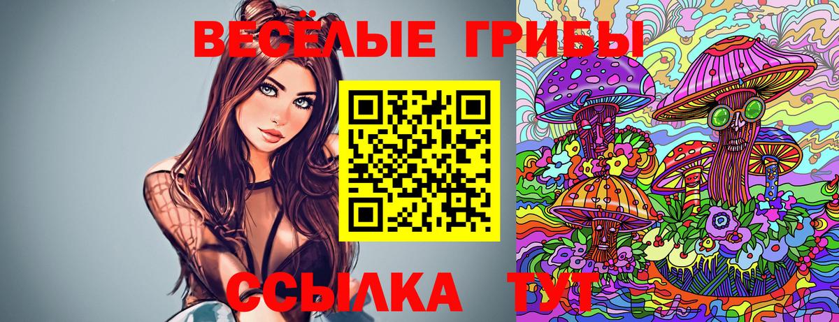 Галлюциногенные грибы Psilocybine cubensis  Вход с VPN  Прокопьевск 